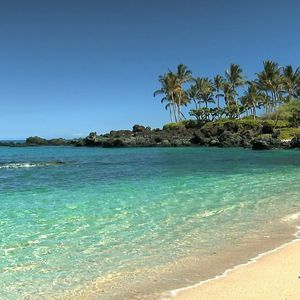 Meet your Posher, Anthonio